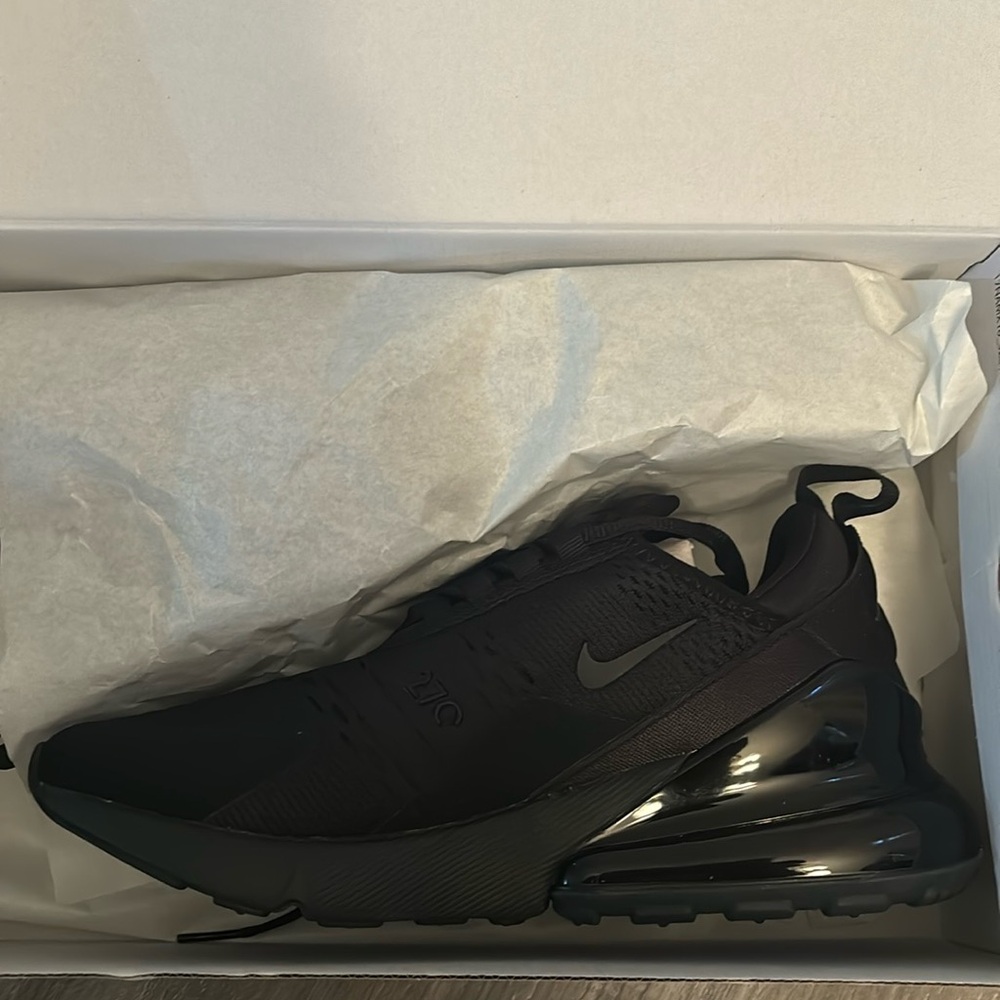 Nike shoe Air Max